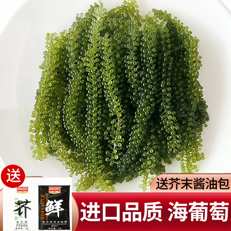 海葡萄即食盐渍蔬菜海藻带鱼子酱