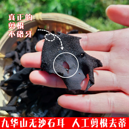 九华山黄山新货手工剪根去蒂野生石耳石衣岩耳石木耳无沙250g包邮