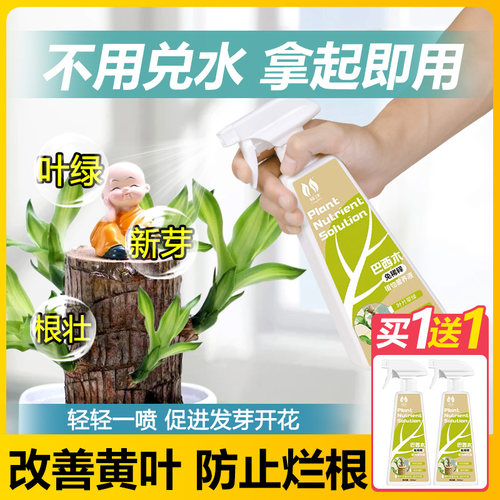 速发木专用肥营养液免稀栽室内盆木水培幸运释开花植物通用肥