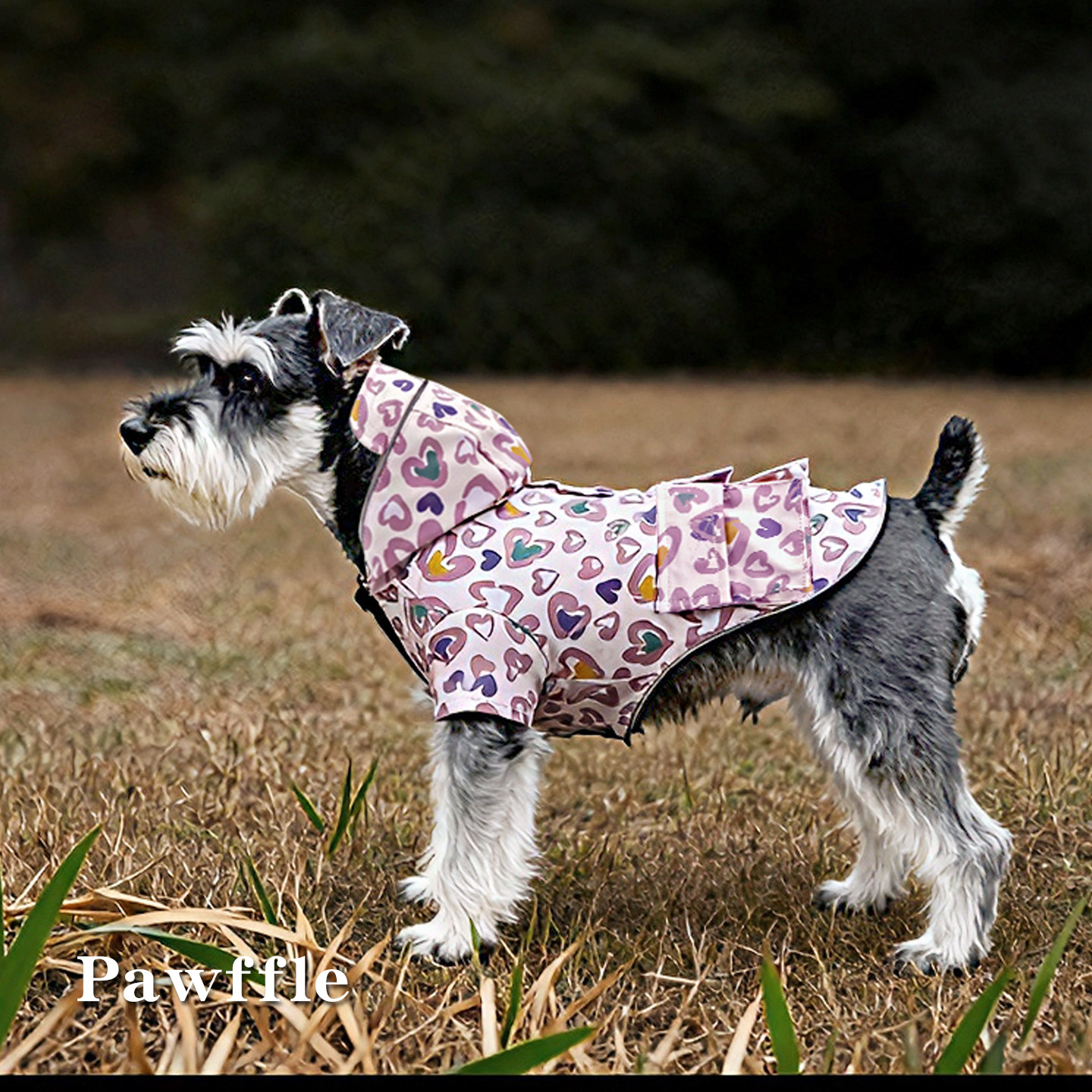 户外宠物雨衣狗狗衣服冲锋衣