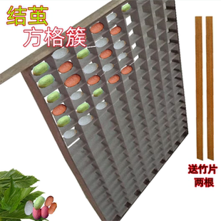 蚕宝宝吐丝专用结茧簇方格吐丝上架道具结茧簇养蚕吐丝网新鲜桑叶