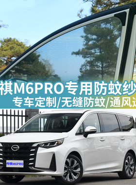 广汽传祺M6汽车防蚊纱窗PRO车用纱网防虫网车载蚊帐GM6车窗防蚊网