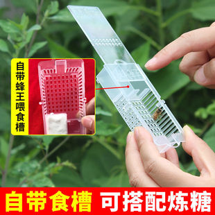 邮寄王笼蜜蜂多功能透明囚王笼塑料介绍王笼储王运输专用养蜂工具