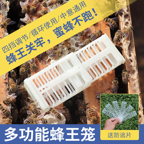 塑料蜜蜂囚王笼中意蜂通用多功能