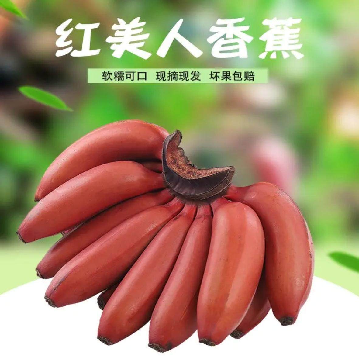 正宗海南香蕉红皮香蕉火龙蕉香甜香蕉