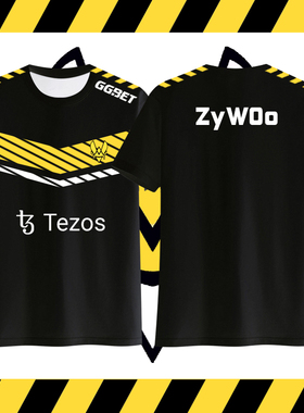 VITALITY小蜜蜂队服2023定制CSGO周边速干短袖T恤衫男女冰丝半袖