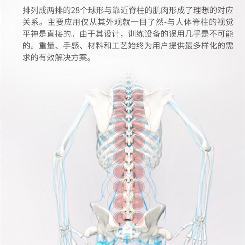 【TG】脊颈柱放松spinefitter毛毛虫肌肉筋膜按摩棒腰背舒缓拉伸
