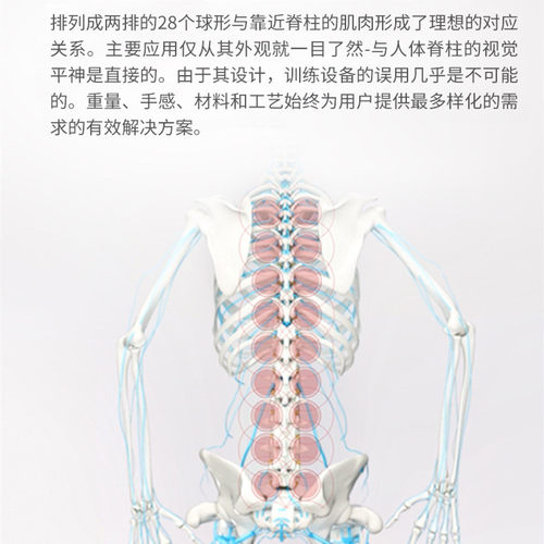 【TG】脊颈柱放松spinefitter毛毛虫肌肉筋膜按摩棒腰背舒缓拉伸