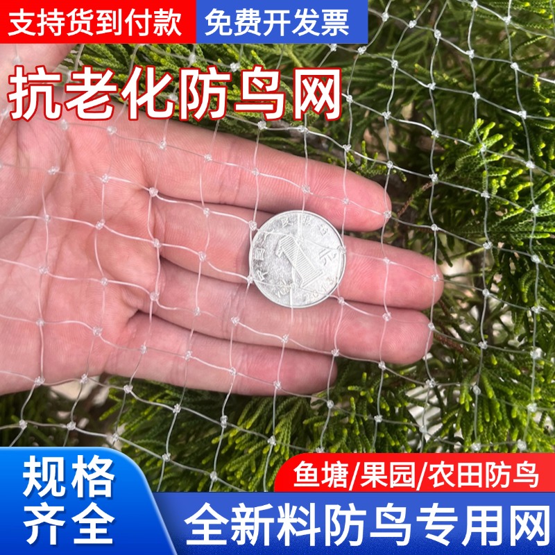 防鸟网果树果园防小鸟的网