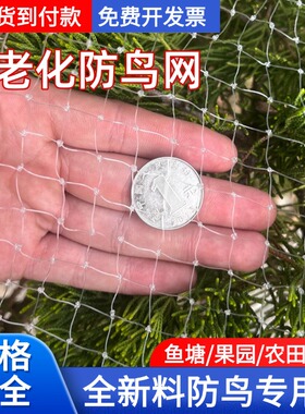 防鸟网果树果园防小鸟的网大棚尼龙线防鸟网鱼塘阳台樱桃树葡萄树