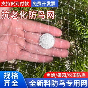防鸟网果树果园防小鸟的网大棚尼龙线防鸟网鱼塘阳台樱桃树葡萄树