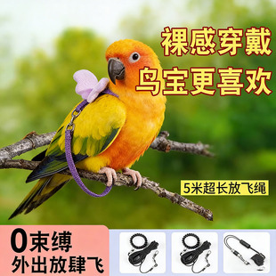 小太阳鹦专用鹉牵引绳外出放飞绳不伤脚鸟用手养背带超轻溜鸟户外