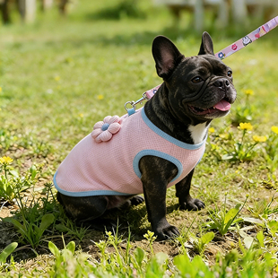 卡斯罗专用狗狗衣服春装夏宠物2026新款狗高颜值薄款外出防脏春款
