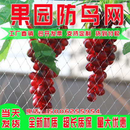 农用果园防鸟网果树葡萄樱桃防鸟用网鱼塘养殖天网大棚防护尼龙网