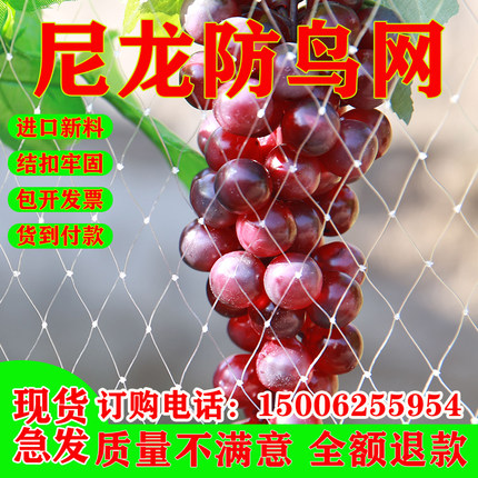 果园果树防鸟用网葡萄樱桃枸杞稻谷防鸟网鱼塘养殖天网尼龙网防鸟