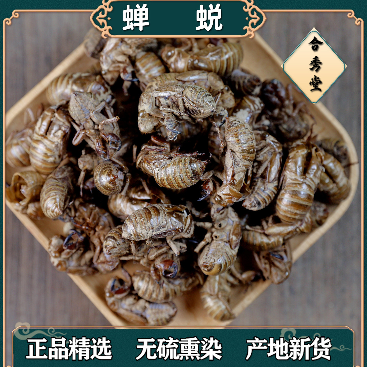 中药材 中草药 蝉蜕 知了皮蝉衣蝉壳虫 蜕虫退爬了猴壳金蝉衣