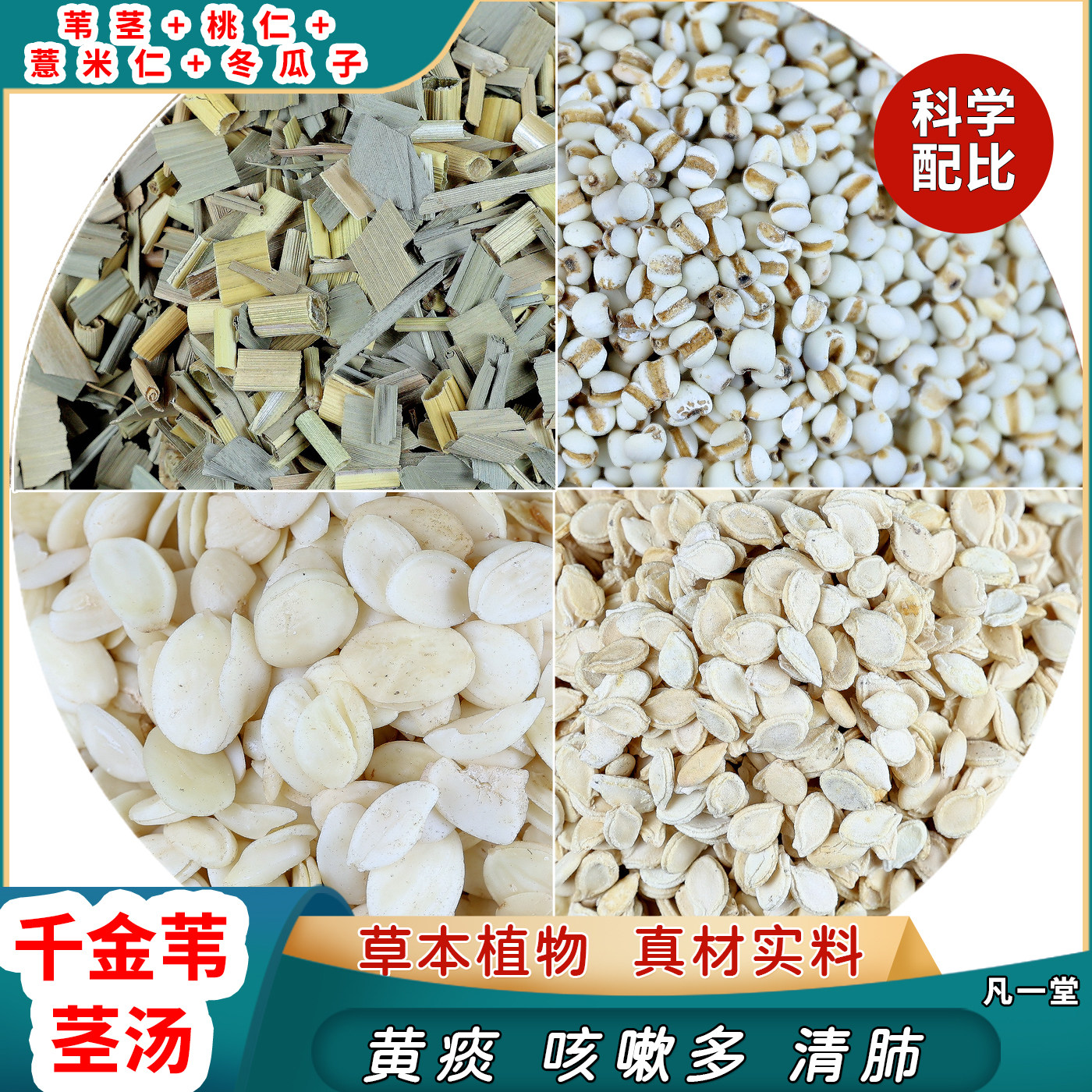 千金苇茎汤倪海厦推荐