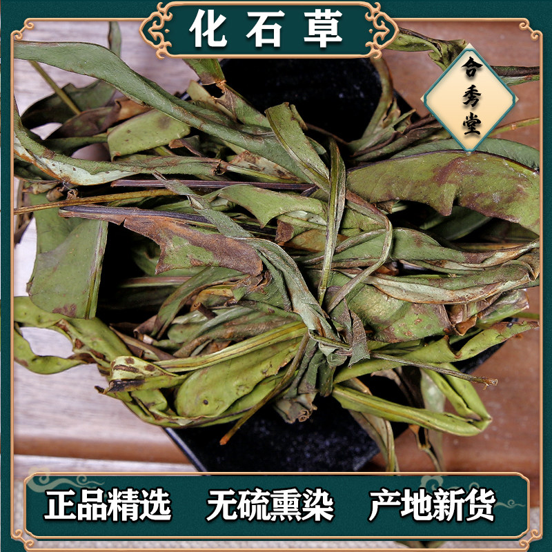 中草药云南化石草石韦