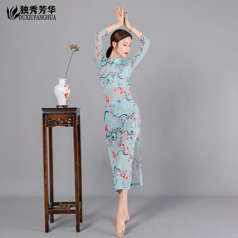 古典舞练功服女中国风弹力网纱