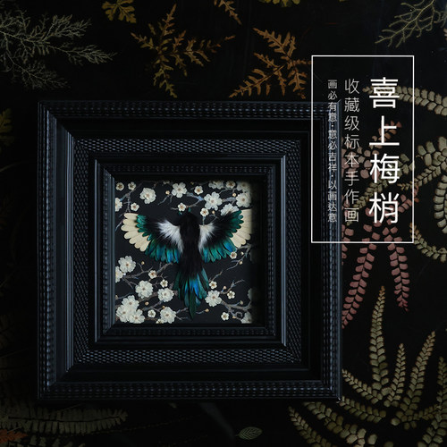 种籽造物收藏级标本画