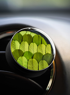 种籽造物森呼吸植物标本车载伴手礼香薰出风口礼盒扩香摆件礼物