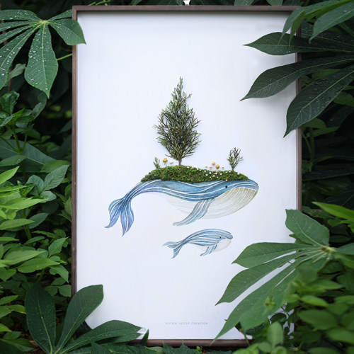 种籽造物手作画自然生长万物之美