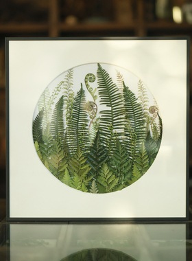 种籽造物 花好月圆春和植物标本画手工手作押花画装饰画挂画组画