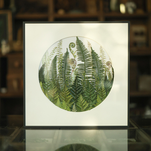 种籽造物 饰画挂画组画 花好月圆春和植物标本画手工手作押花画装