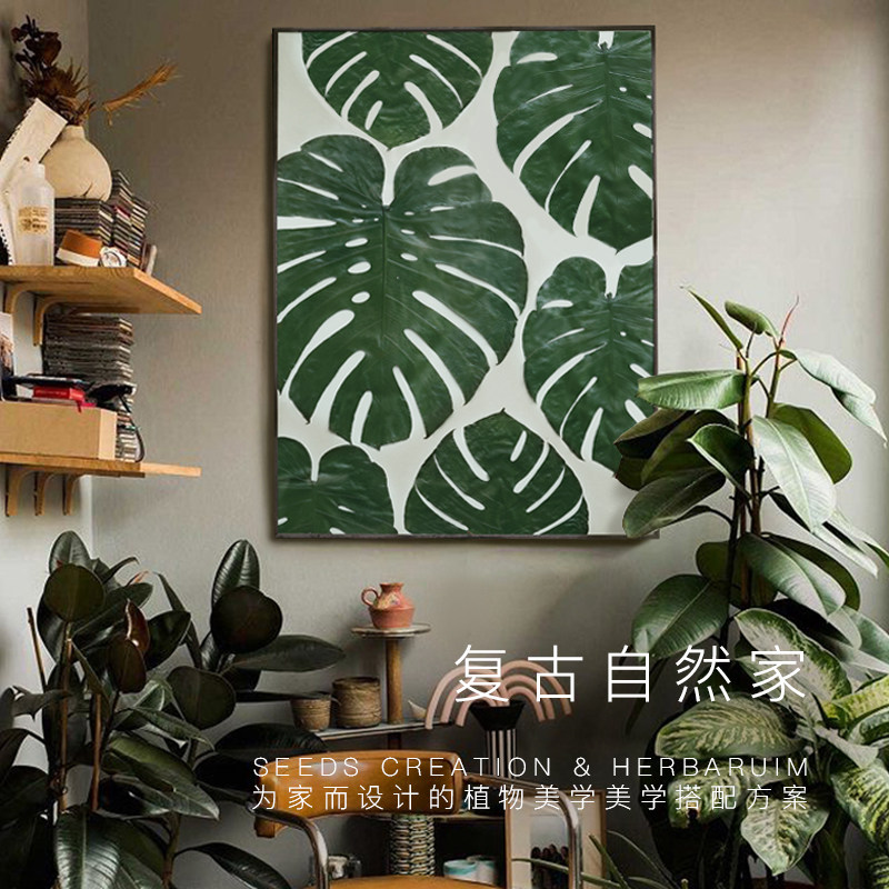 种籽造物手作龟背竹大画植物标本挂画手工玄关装饰画客厅联画组画
