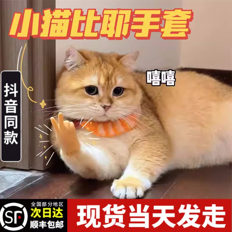 小猫咪比耶手套迷你搞笑人手指弹力逗撸猫宠物摆造型搞怪整蛊玩具 童装/婴儿装/亲子装 手套 原图主图