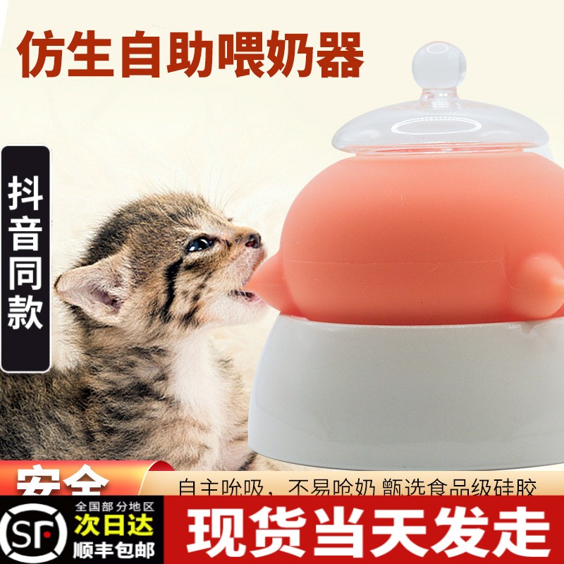 猫咪喂奶神器小猫奶猫