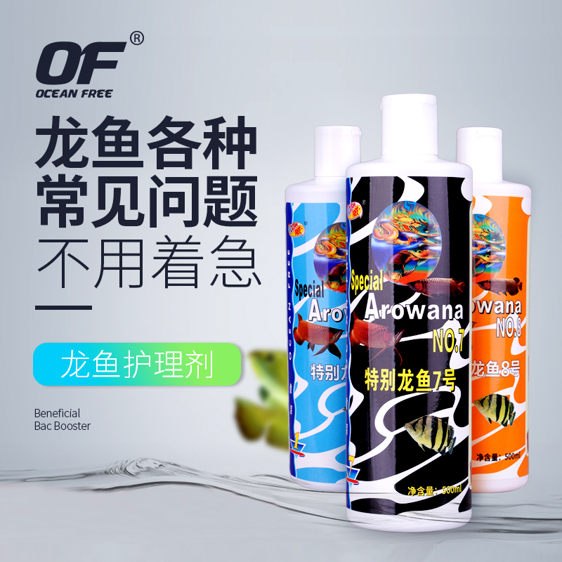 傲深龙鱼5号4号3号0号白点水霉