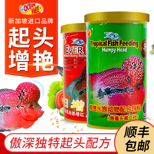 仟湖傲深寿星头红瑞神鱼花罗汉鱼