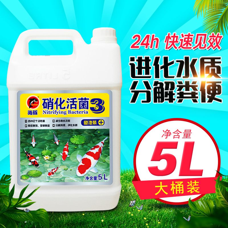 锦鲤鱼药水海豚硝化细菌5L桶鱼池除虫消毒鱼缸治疗净水剂烂身肉