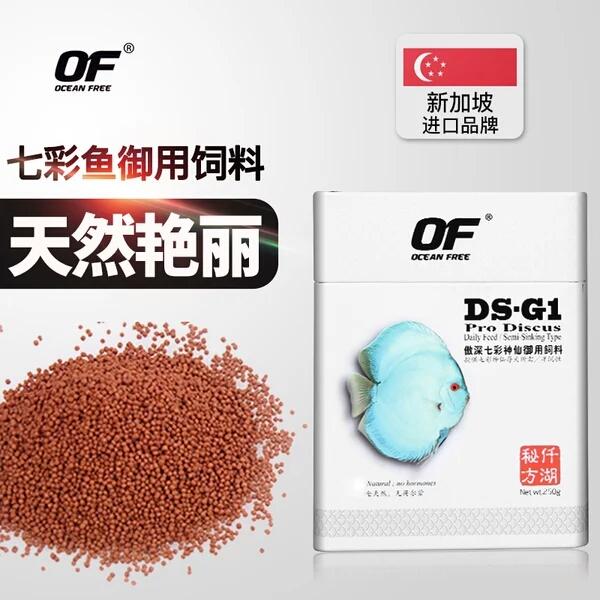 仟湖ds-g1专业天然七彩神仙鱼