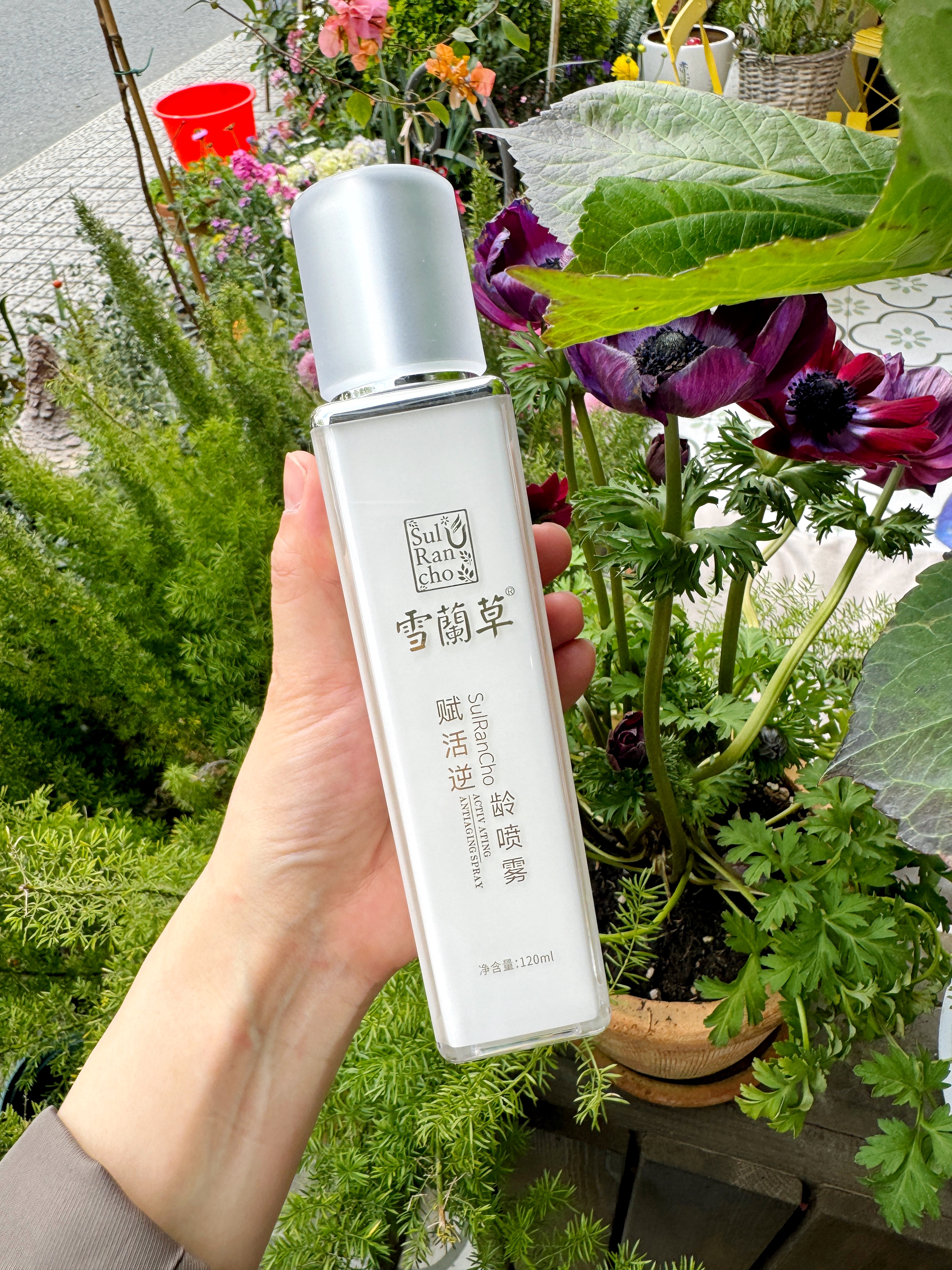 雪兰草赋活逆龄喷雾补水保湿提亮肤色紧致毛孔淡化细纹暗沉黑色素