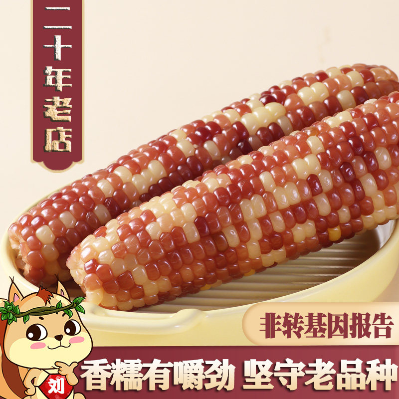 老品种小园黑龙江花糯玉米棒10支图片