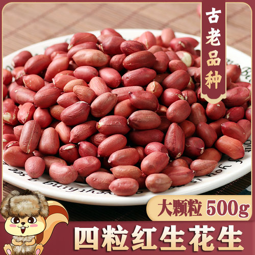 新货四粒红皮花生米1斤生大颗粒红衣花生米黑龙江肇州沙土地农家
