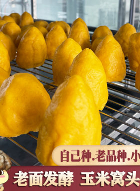 玉米窝头小金黄老品种自己种