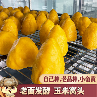 纯玉米面窝头自种小金黄东北玉米渣窝头杂粮包手工玉米窝窝头馒头