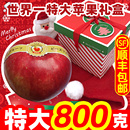 世界一号平安果大苹果圣诞节平安夜巨型超大苹果礼物800g礼盒顺丰