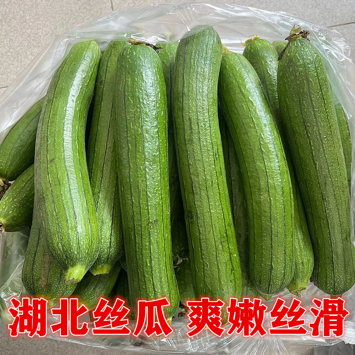 新鲜宜昌特产白玉丝瓜包邮
