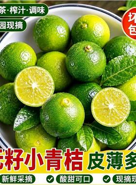 新鲜小青桔产地直发青桔子小茶果