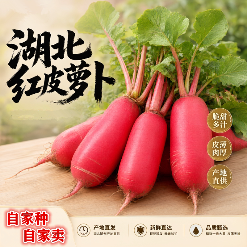 湖北农家新鲜红皮白肉萝卜包邮