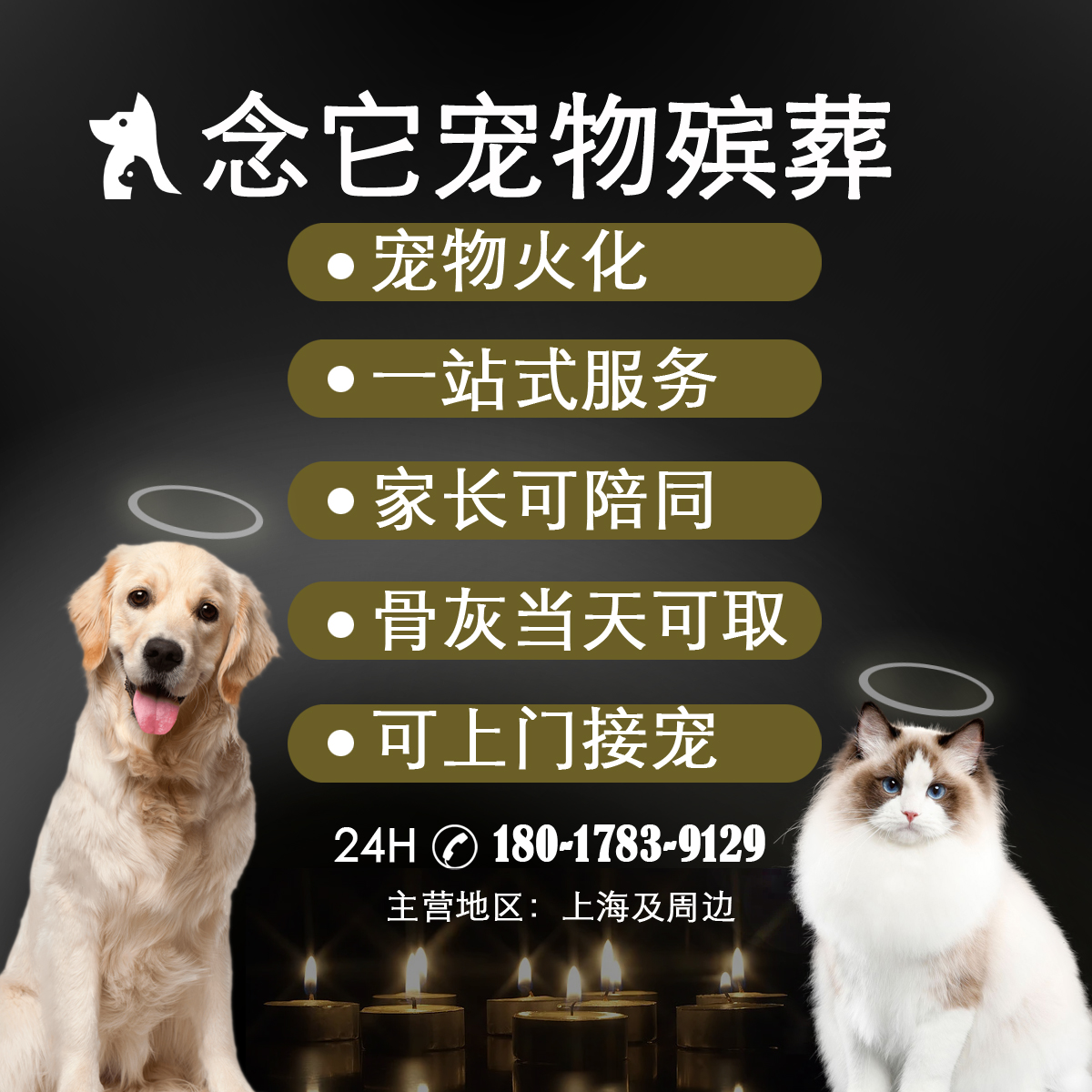 上海上门接宠物单独火化殡葬狗狗猫猫咪兔子动物善后死亡安葬骨灰