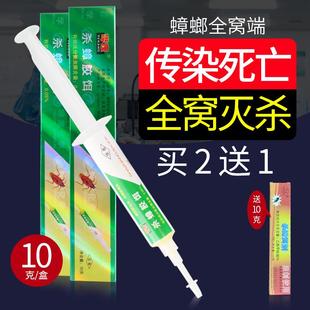 晔康杀蟑胶饵华康蟑螂药家用灭蟑螂神器大小通杀强力10克装蟑螂清