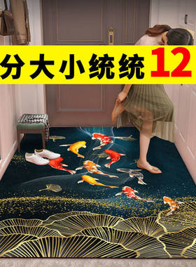 3d大门口家用卫生间防滑脚踩垫