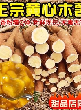 广西黄心木薯新鲜现挖黄肉当季农家特产粉糯板栗蜜薯糖水顺丰