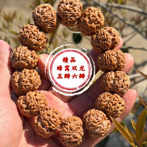 精品尼泊尔大金刚菩提手串链爆肉满蜂窝双龙纹菩提子文玩原籽佛珠