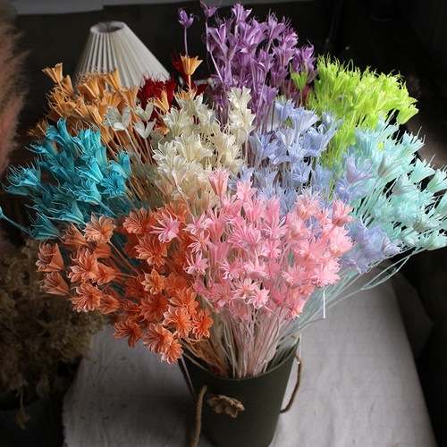 八角花干花永生真花diy装饰插花